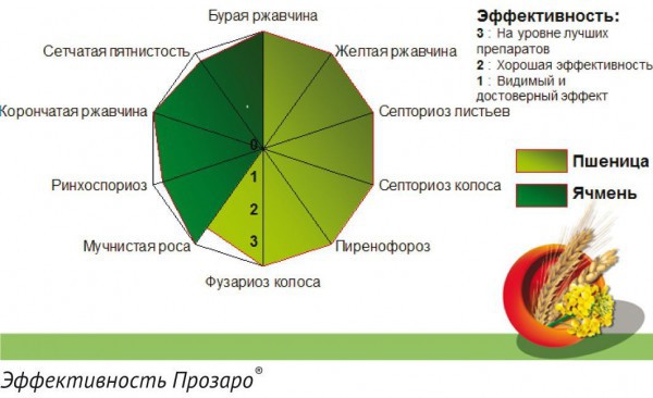 Эффективность фунгицида Прозаро на пшенице и ячмене Эффективность фунгицида Прозаро на пшенице и ячмене