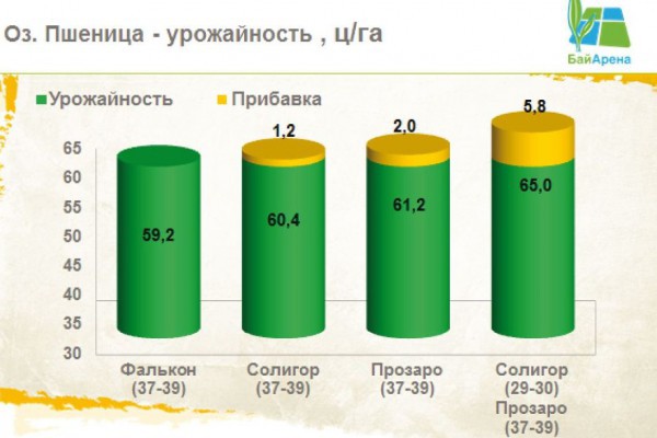 Урожайность озимой пшеницы в зависимости от применяемого фунгицида Урожайность озимой пшеницы в зависимости от применяемого фунгицида