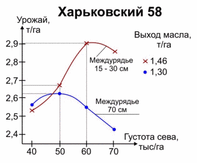 Урожайность гибрида Харьковский 58 в зависимости от величины междурядья и густоты сева