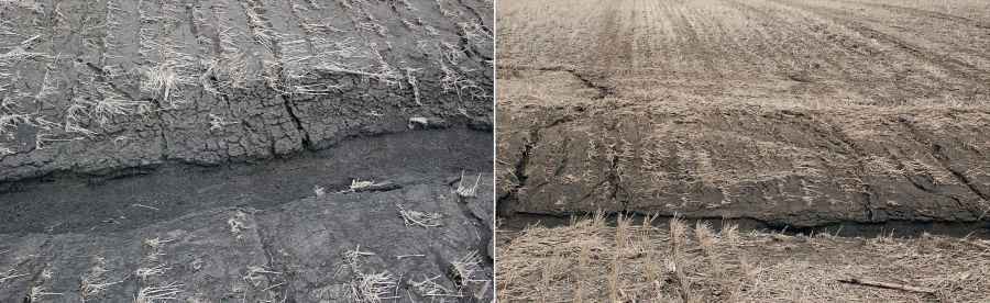 При эрозии почв плодородный слой, превращенный в пыль, стекает с водой или уносится ветром в ближайшие низины
