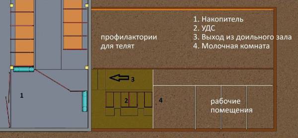 Помещение для содержания коров Помещение для содержания коров