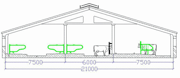 Коровник на 5 коров схема размеры для частного хозяйство