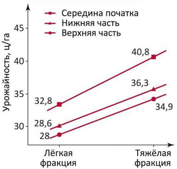 Зависимость урожайности кукурузы от плотности семян и расположения их на початке